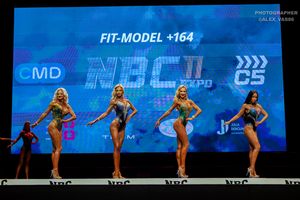 FIT-MODEL +164 раунд 1